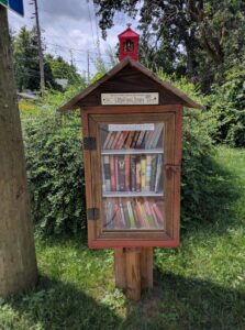 little free library books